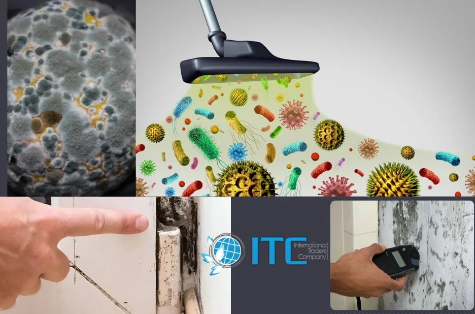 How to Choose Reliable Residential Mould Treatment Services in Mooloolaba for Your Home How to Choose Reliable Residential Mould Treatment Services in Mooloolaba for Your Home