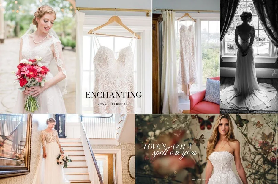 Essential Checklist for Collaborating with enchantingbymoncheri on Your Next Guest Post Essential Checklist for Collaborating with enchantingbymoncheri on Your Next Guest Post