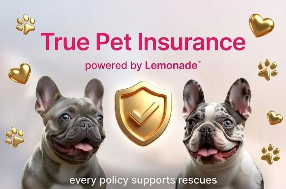 true panion pet insurance: A Trusted Option for Quality Pet Coverage true panion pet insurance: A Trusted Option for Quality Pet Coverage