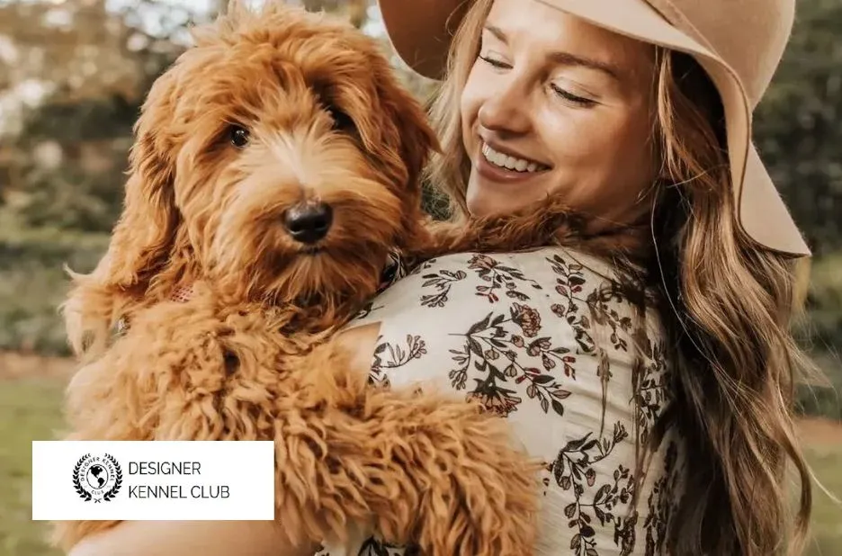 CKC Registration Benefits and Guest Posting Overview for Designer Kennel Club CKC Registration Benefits and Guest Posting Overview for Designer Kennel Club