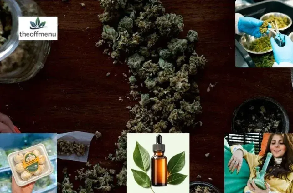 Discovering a Reliable Online Dispensary in Canada with Theoffmenu.co Discovering a Reliable Online Dispensary in Canada with Theoffmenu.co