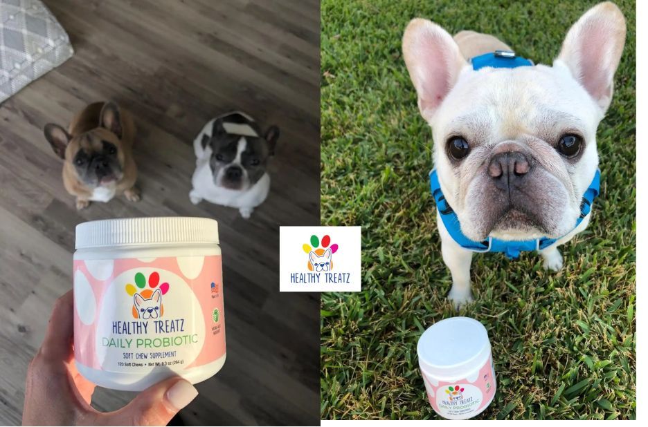 Healthy Petz: Expert-Recommended Treats for a Happier, Healthier Pet Healthy Petz: Expert-Recommended Treats for a Happier, Healthier Pet