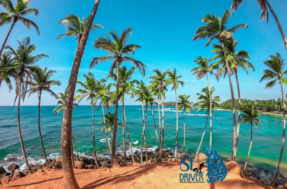 Top Attractions in Sri Lanka Compared: Must-See Landmarks and Hidden Gems Top Attractions in Sri Lanka Compared: Must-See Landmarks and Hidden Gems
