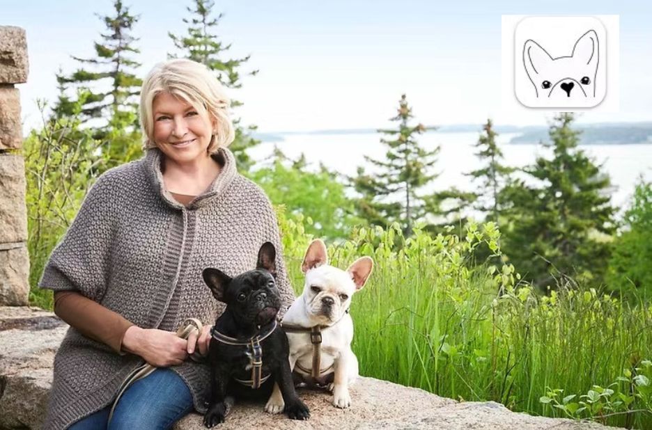 How to Get Papers for a Dog: Buyer-Ready Guide for Responsible Registration How to Get Papers for a Dog: Buyer-Ready Guide for Responsible Registration