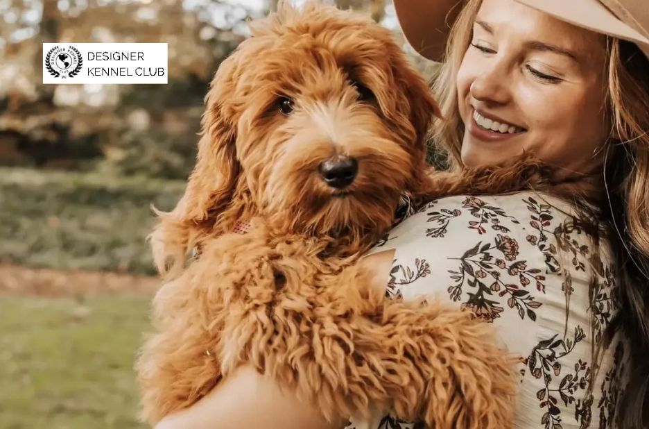 How Dog Papers Work: Registration Essentials and Trusted Steps How Dog Papers Work: Registration Essentials and Trusted Steps