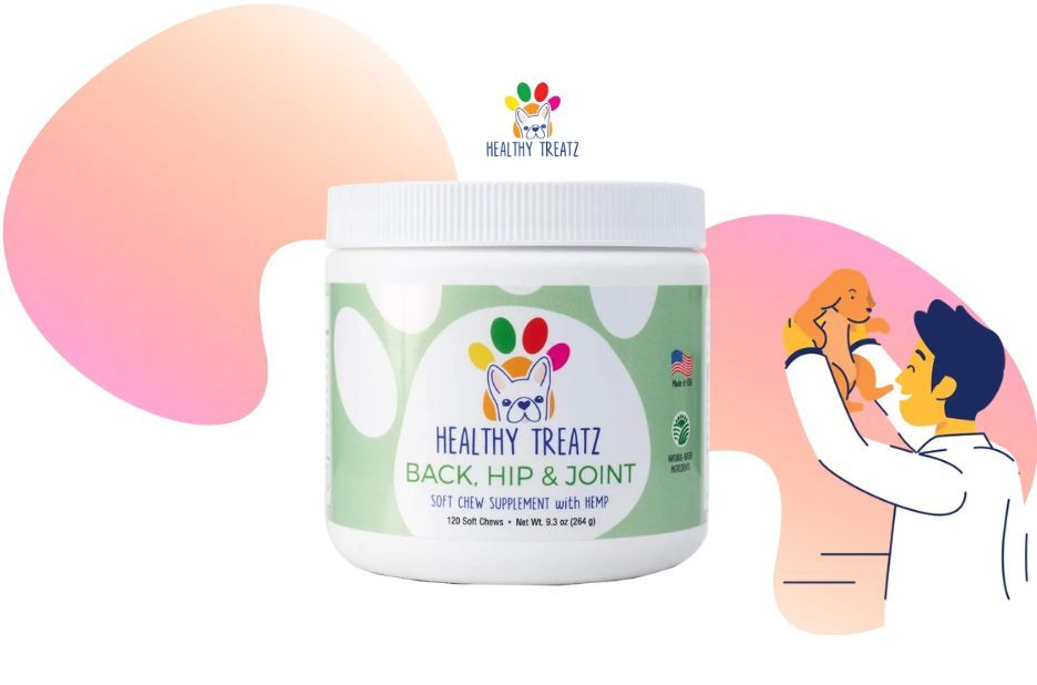 Best Joint Supplements for Senior French Bulldogs: Vet-Approved Options Best Joint Supplements for Senior French Bulldogs: Vet-Approved Options