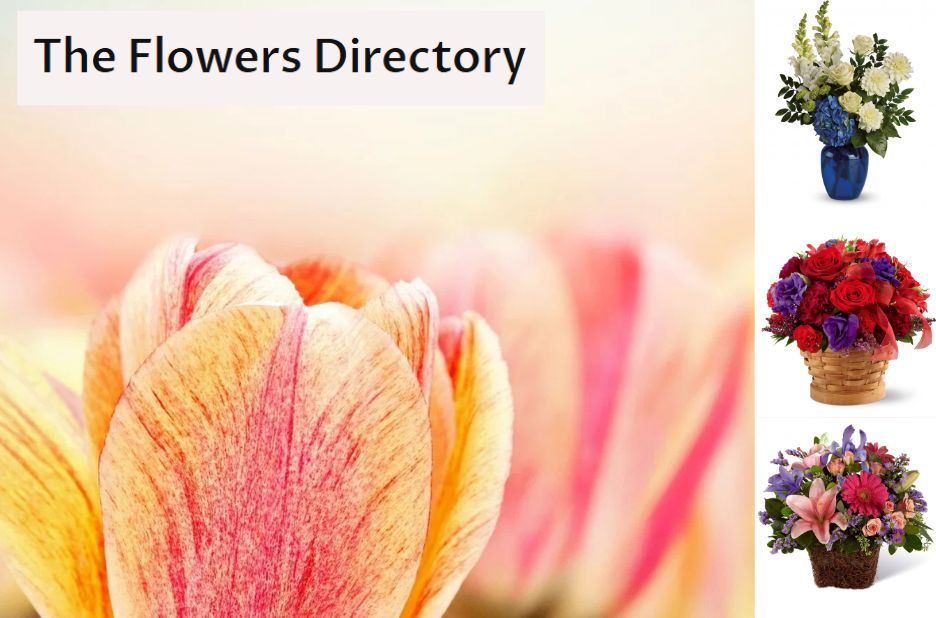 Sympathy Flowers Delivery in Birmingham: Meaningful Hand-Delivered Comfort by The Flowers Directory Sympathy Flowers Delivery in Birmingham: Meaningful Hand-Delivered Comfort by The Flowers Directory