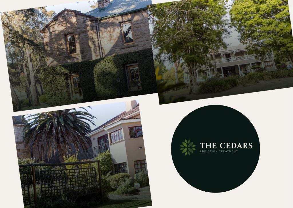 Local Social Campaigns That Turn Cedar Communities Local Social Campaigns That Turn Cedar Communities