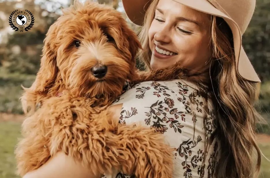 Guide to Registering Purebred Designer Dogs Properly